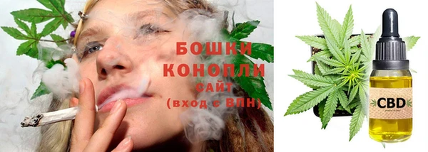 стафф Гусев