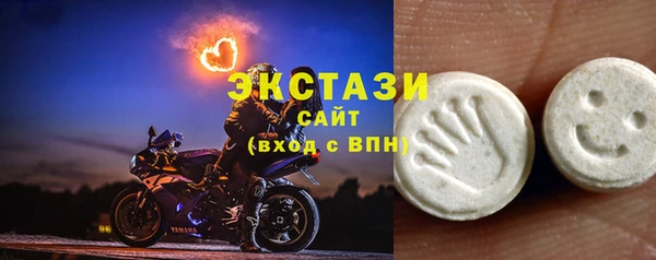 стафф Гусев
