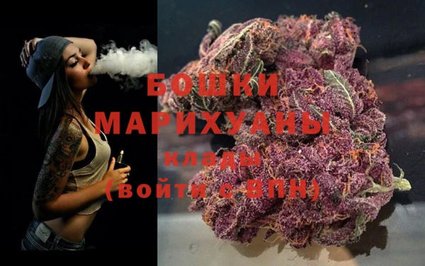 стафф Гусев