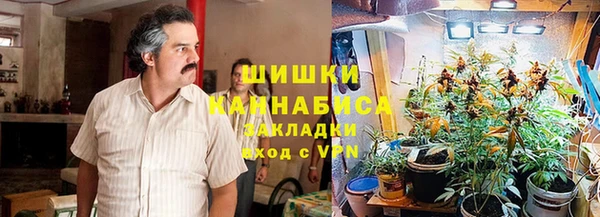 стафф Гусев